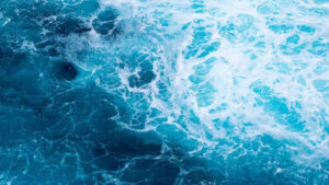 World’s oceans break June heat record: Monitor