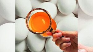 Swiggy Instamart Notices: Rotten eggs, spoiled parathas: Swiggy gets 9 notices from FSSAI | India News