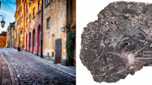 A piece of Europe 5 km down, heated to 240°C and later returned to the surface. How? Fossilised wood shows