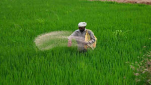 India’s fertiliser game plan: Over 32 lakh tonnes imported in Q1; strengthened supply chain through overseas deals