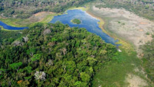 Guatemala: Logging usually destroys rainforests, but this Guatemala system is producing the opposite result