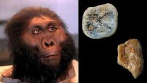 Meet Paranthropus: The ancient human cousin that may have made the first stone tools 2.6 million years ago | World News