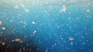 Tiny plastics in drinking water may help harmful bacteria form stronger biofilms that resist disinfectants, raising new concerns for water treatment systems