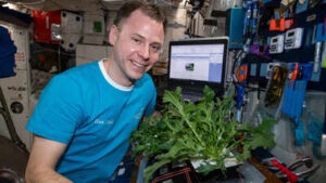 NASA has grown plants in space for years: New research says the next step is growing medicines, starting with a tobacco and a virus