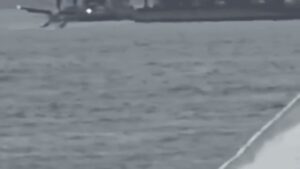 Seaplane Crash New York: Watch: Seaplane carrying eight crash lands in New York’s East River