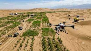 Once known as the ‘Sea of Death’, China’s Taklamakan Desert is turning greener with drone technology | World News