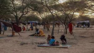 144 dead or missing off Mauritania trying to reach Europe, UN agency says