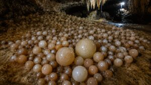 Researchers discover cave with rare cave pearls in Vietnam’s Phong Nha-Ke Bang National Park | World News
