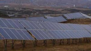 Two solar farms in Minnesota restored native wildflowers, grasses as well as proved beneficial for insects, including bees, butterflies and wasps; with scientists calling it evidence of …
