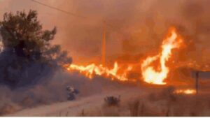 Spain Wildfire: Watch: Massive wildfire turns sky orange in southern Spain as death toll rises to 12
