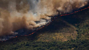 Spain Wildfires: ‘All out of control’: Spain invokes first wildfire emergency as fires rage across Europe; over 10,000 evacuated