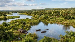 The Sahara Desert was once filled with rivers, giant lakes and hippos. Scientists explain why it turns green every 20,000 years | World News