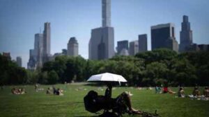 Deadly Heat Wave Claims 29 Lives in the US During Independence Day Weekend | World News