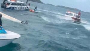 Vietnam boat survivor: Captain jumped, so did I | India News