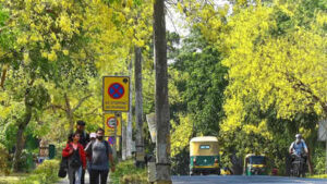 CAG finds 98% shortfall in Green India Mission forest cover targets, red-flags multiple lapses