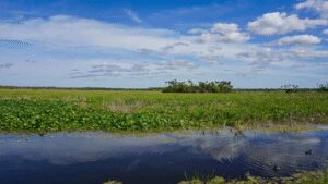 In 1987, Orlando put 1,200 acres of constructed wetlands to work cleaning reclaimed water; the system now polishes about 5.11 billion gallons a year