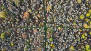 In 1988, an English farmer stopped cultivating his entire 377-acre wheat farm; 35 years later, it became one of central England’s biggest refuges for scrub, woodland and rare wildlife