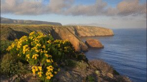 The US offered a California family $4 million for its 6,300-acre island ranch; after they refused, the government seized it and a jury awarded them $12.7 million
