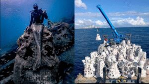 In 2019, Florida began sinking mermaid-shaped reef sculptures; the project now has more than 300 habitat and art modules in South Florida