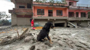 Nepal Flood Dog Tragedy: Nepal tragedy: Owners missing, dog refuses to leave flood-hit Trishuli home