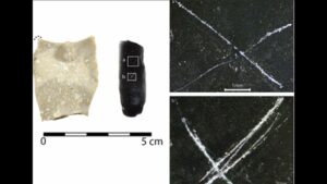 archaeologists found 9,000-year-old arrowheads covered in strange markings; their purpose remains a mystery | World News