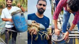 Two Kochi postgraduates turned a mud-crab farming problem into a national-winning startup, earning a Rs 10 lakh grant for a bucket system that can help farmers raise premium crabs inland