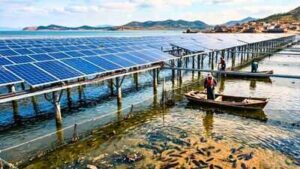 China covered 40% of sea cucumber ponds with solar panels; younger animals spent 12 fewer days in summer inactivity |