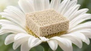 Iisc: IISc eco-friendly foam moves from lab to market; TOI story drew industry | India News