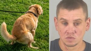 Florida man arrested after throwing dog poop at neighbour over uncleared mess and threatening him with a child’s scooter | World News