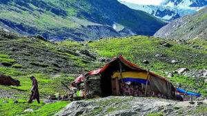 Kashmir route outpaces Manali as Ladakh tourism surges | India News