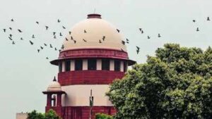 Paternity test of child can be allowed in marital dispute: SC | India News