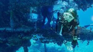 In 1970, Sylvia Earle led five women into an underwater lab for 14 days, helping prove humans could live and work beneath the sea | World News
