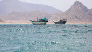 25 India-bound ships in Hormuz; government set to evacuate 13 soon | India News