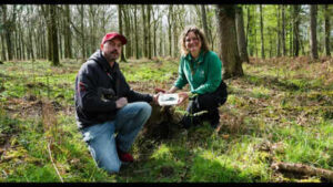 Man walking his dog discovers a 3,400-year-old Bronze Age axe in an English forest | World News