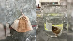 Meet Vick Tan: The Minnesota student who turned a teabag into a low-cost filter that removed more than 90% of arsenic from water |