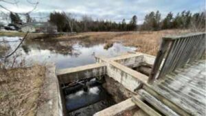 Michigan plans to remove the century-old Sanback Dam in 2026, reopening a half-mile of cold-water stream, restoring 14 wetland acres and protecting more than 70 downstream miles