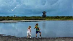 Florida spent about $17 million transforming degraded farmland near Tampa Bay into Robinson Preserve, a 700-acre coastal refuge that now draws about 240,000 visitors annually