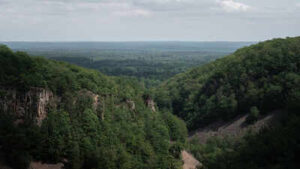 Much of Sweden’s Söderåsen plateau became more open in the 18th and 19th centuries; in 2001, 1,625 hectares were protected as a national park, and today it is one of northern Europe’s largest continuous protected broadleaf forests