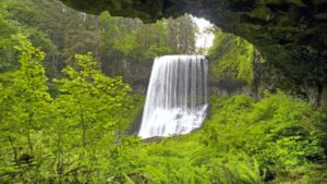 20-year-old tourist dies in US after falling from 170-feet waterfall while posing for photos