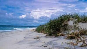 In the early 1960s, developers sold 5,850 lots for a private resort on Assateague Island; one five-day storm wiped out nearly every house and helped turn it into a national seashore