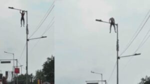 ‘Want to meet Suvendu-babu’: Bengal man climbs lamp post, performs pull-ups, stunts for 40 minutes | Kolkata News