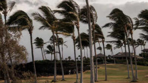 Tropical Storm Lala in Hawaii: Roads collapse, 100 homes swept away, no power, mobile service; 1 dead