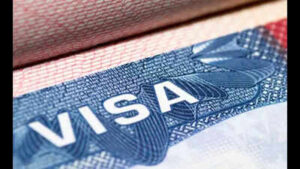 What happened to ‘Green Cards stapled to diplomas’: Attorney reacts to proposal of $100,000 OPT fee