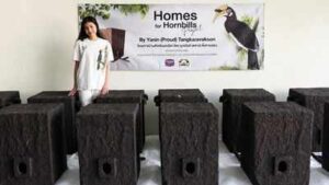 Meet Yanin ‘Proud’, a 17-year-old Thai student who built artificial hornbill nests from recycled plastic and won two global conservation awards | World News
