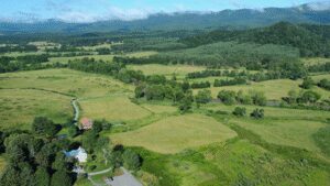 In 2005, Virginia bought 431 waterfront acres for a future state park; 21 years later, the undeveloped land has been folded into another park with a 30-year plan