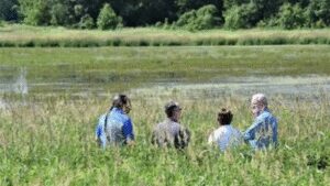 In 1993, his father tried to turn a troublesome field back into wetland; 33 years later, his son restored nearly 48 acres and wildlife returned
