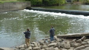 After Ohio removed Brecksville Dam in 2020, free-flowing habitat linked to Lake Erie more than doubled to 71 km; scientists later found 15 newly detected fish taxa downstream