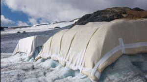 Scientists covered 200 square metres of a Swiss glacier with sheep’s wool; early tests found it protected the ice about as well as plastic sheets, but only 0.02% of Swiss glacier ice is covered