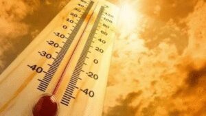 Global climate record: August this year joint-warmest month with July ’23 | India News