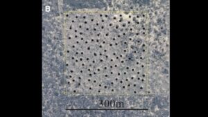 Brazil’s 200 million termite mounds are up to 4,000 years old, but they are made from soil termites dug out while building tunnels | World News